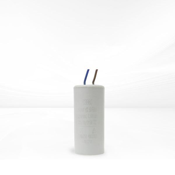 MSCAP100