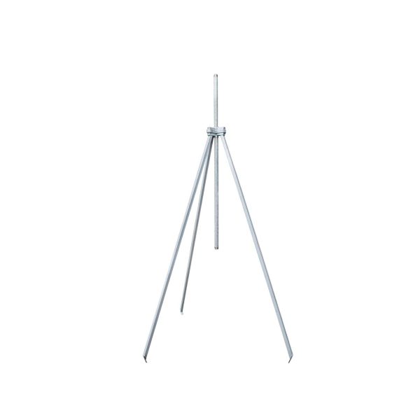 P24T - Image 2