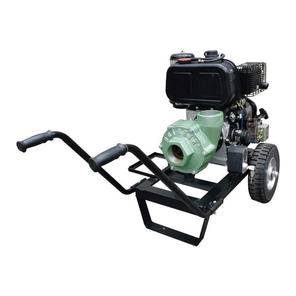 MAPX3D12
